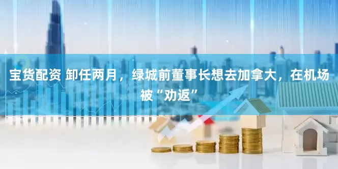 宝货配资 卸任两月，绿城前董事长想去加拿大，在机场被“劝返”