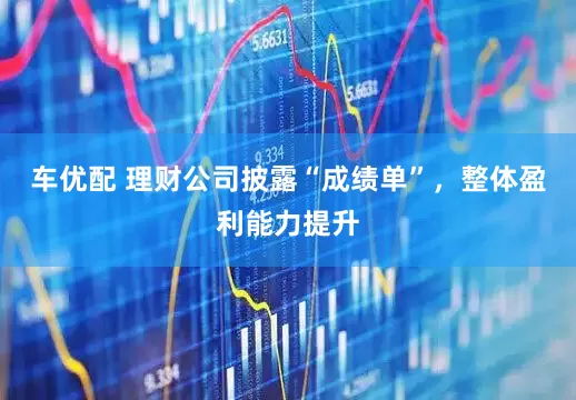 车优配 理财公司披露“成绩单”，整体盈利能力提升