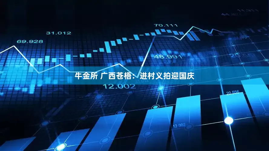 牛金所 广西苍梧：进村义拍迎国庆