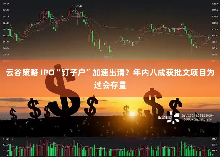 云谷策略 IPO“钉子户”加速出清？年内八成获批文项目为过会存量